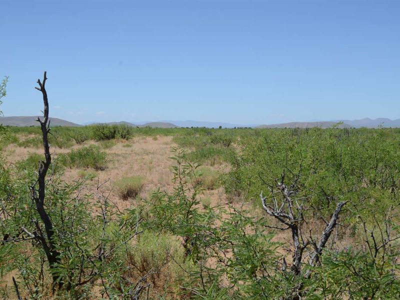 Super Nice, Ru-4 Zoning, $575/Month : Sunizona : Cochise County : Arizona