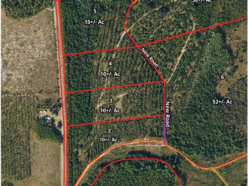 Land For Sale In Charlton County Georgia