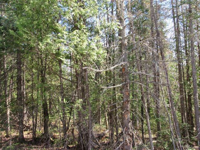 Recreational 6 Acre Parcel : Lake Linden : Houghton County : Michigan