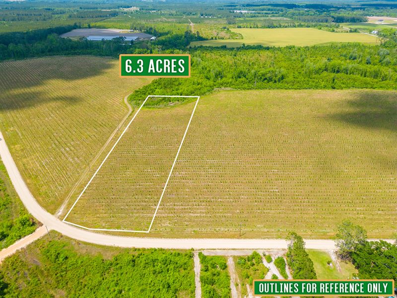 Tract 8, 6 Acres on Sellers Road : Baxley : Appling County : Georgia