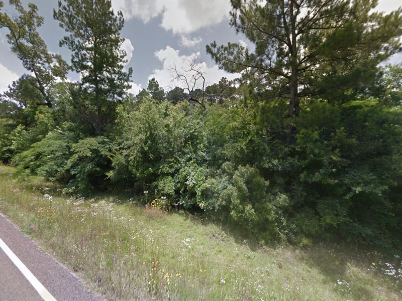 .14 Acre in Huntington, $250/Month : Huntington : Angelina County : Texas