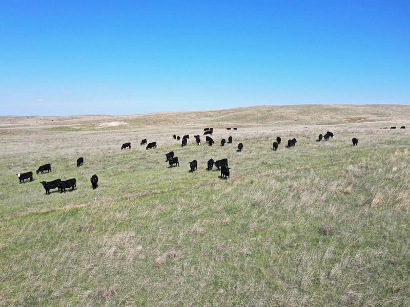 442 Acres, Lincoln County Sandhills : North Platte : Lincoln County : Nebraska