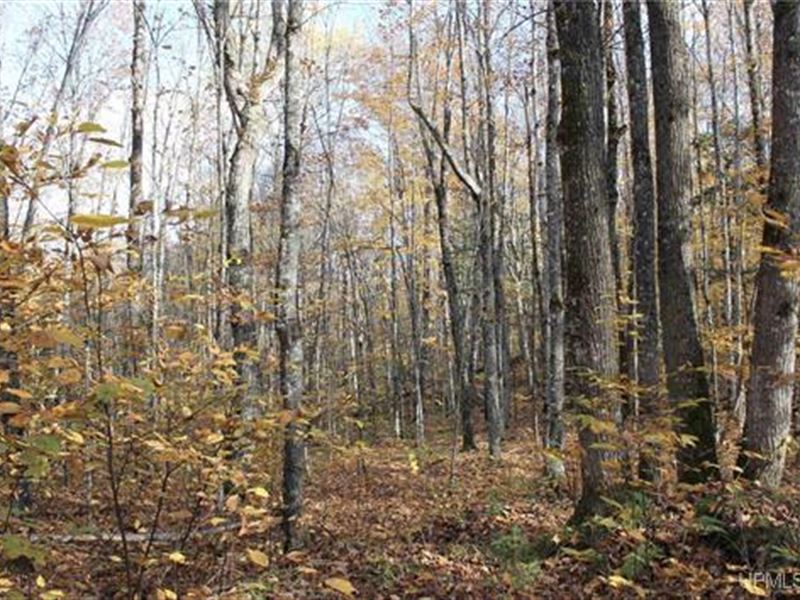 Michigan Wooded 80 Acres : Pelkie : Houghton County : Michigan