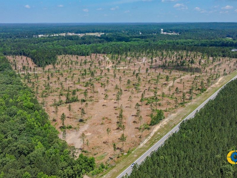 Leesburg Branch Tract : Eastover : Richland County : South Carolina