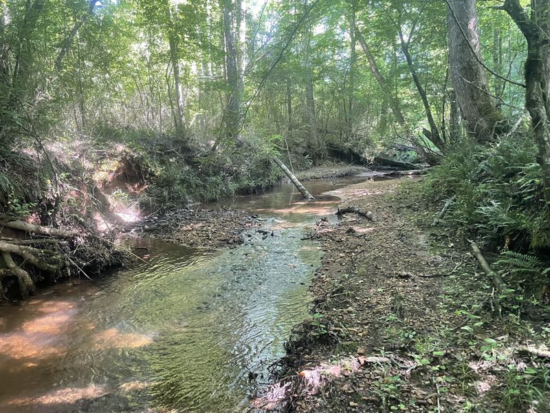 27 Ac on Dipping Vat Creek : Wadley : Tallapoosa County : Alabama