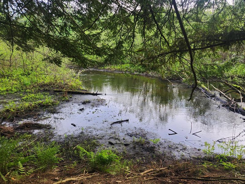 Fish Creek Riverfront : Williamstown : Oswego County : New York