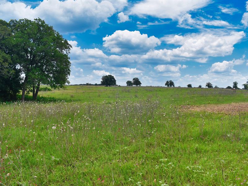 1.08 Acre in Caldwell County, TX : Luling : Caldwell County : Texas