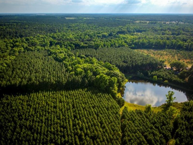 Heart Pond Farm : Cochran : Dodge County : Georgia