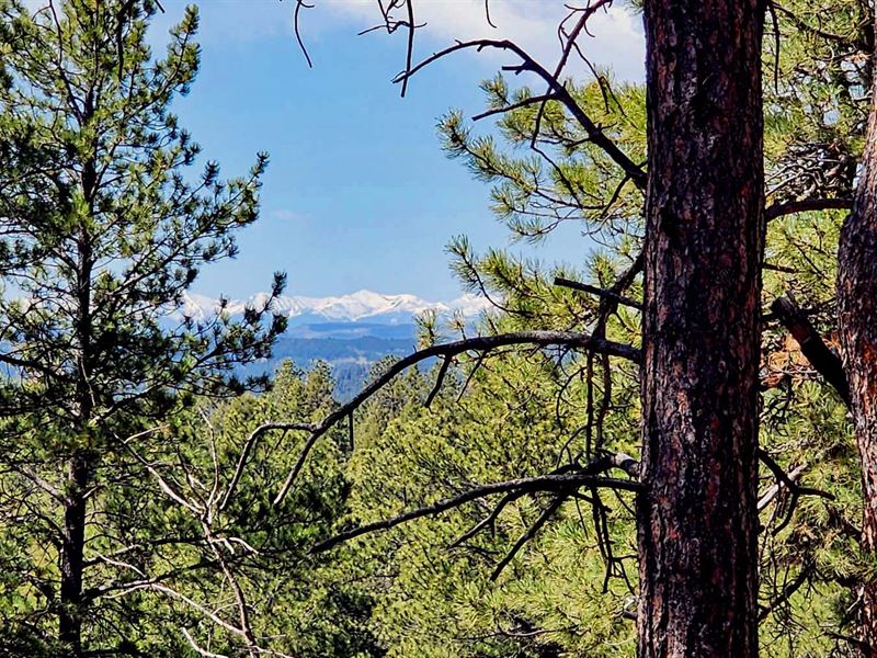 35 Acres with A Well : Divide : Teller County : Colorado