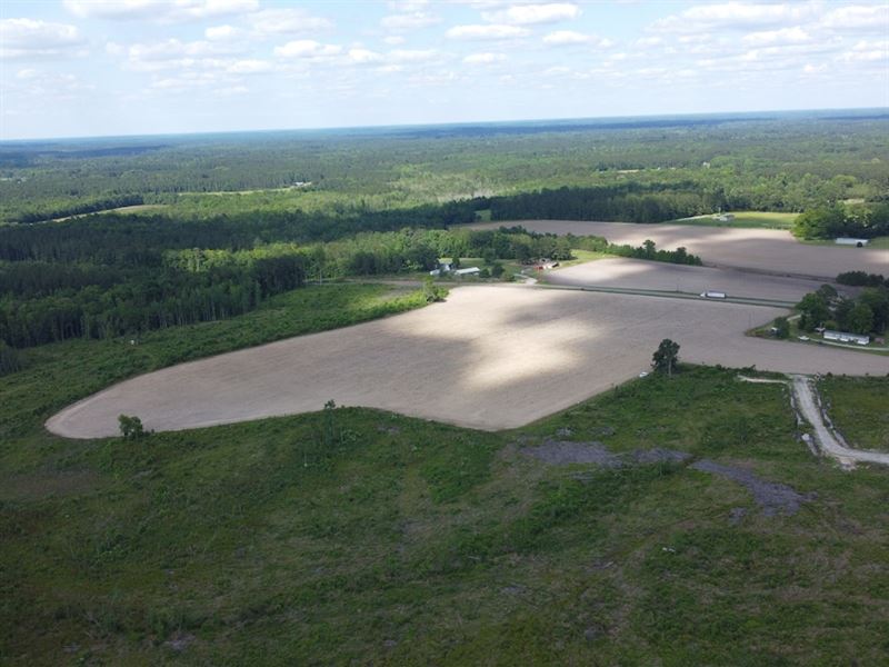 Jack's Tract : Sniders Crossroads : Colleton County : South Carolina