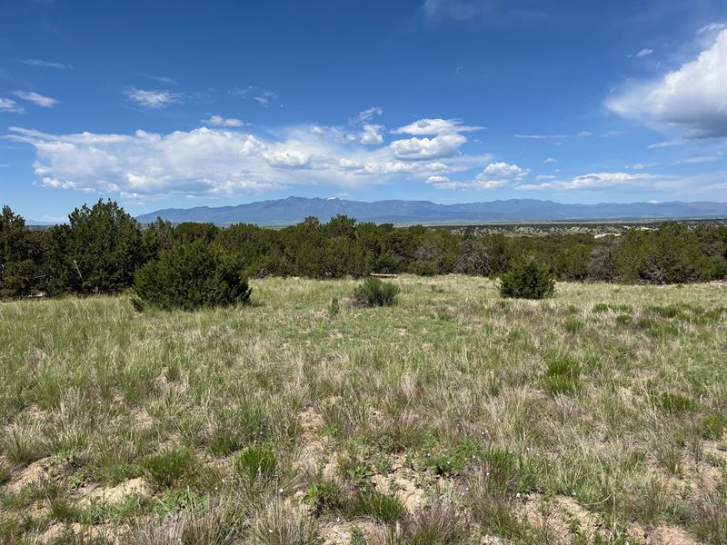 Hatchet Ranch 55 : Pueblo : Pueblo County : Colorado