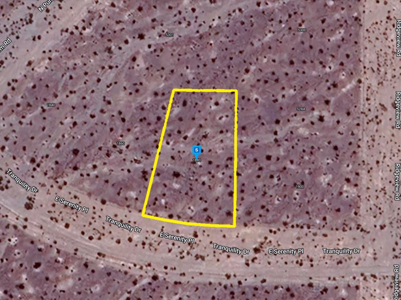 Land Asset for $256.37 Down : Pahrump : Nye County : Nevada