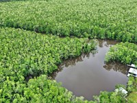 Escape to The Tickfaw River, Where : Springfield : Livingston Parish : Louisiana