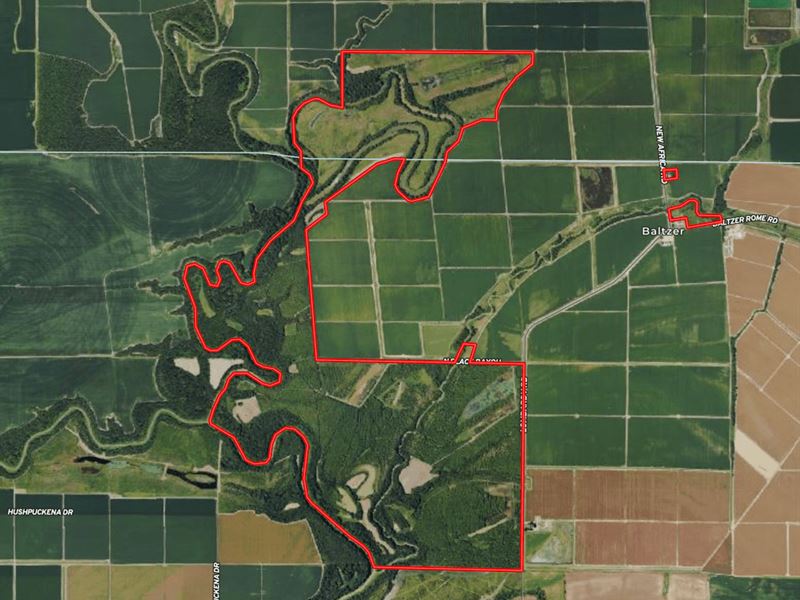 Ms, Sunflower / Cohoama 1230 Acres : Shelby : Sunflower County : Mississippi