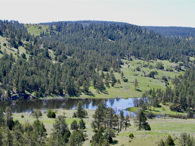 New Haven Ranch : Hulett : Crook County : Wyoming