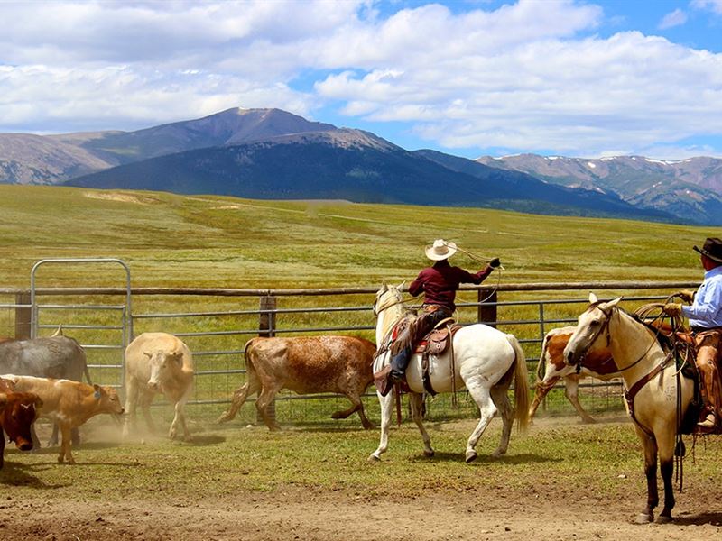 Reinecker Ridge Ranch : Fairplay : Park County : Colorado