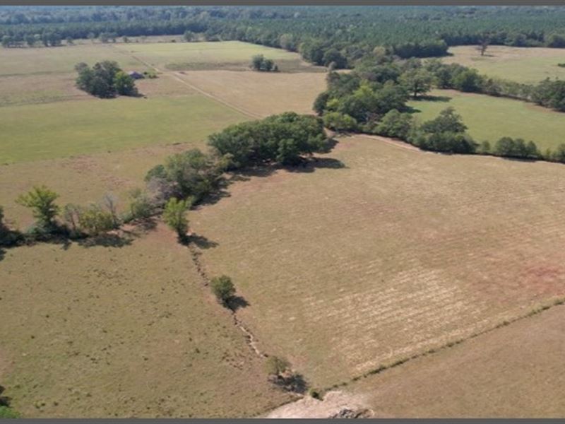 99.5 Acres in Rankin County in Pela : Pelahatchie : Rankin County : Mississippi