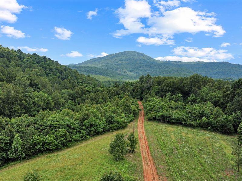 Horsepen Mountain Tract : Vinton : Bedford County : Virginia