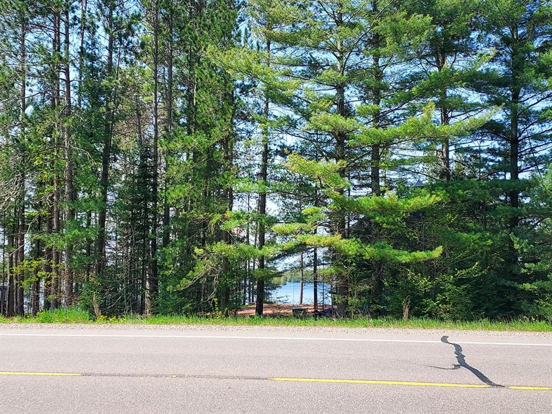 Beautiful Lake View Property : Summit Lake : Langlade County : Wisconsin