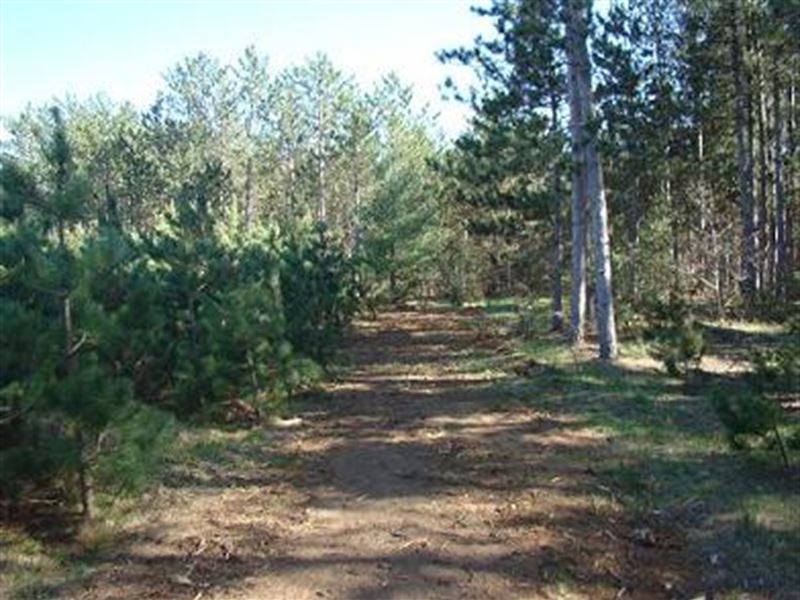 3.2 Acres Near Lake Lucerne : Crandon : Forest County : Wisconsin