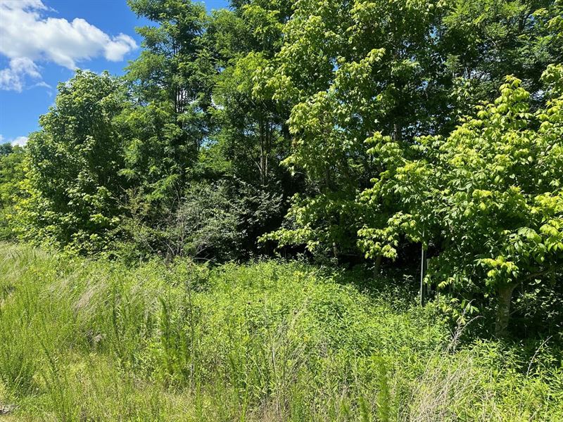 2.09 Acres Wooded Lot Near Chatta : South Pittsburg : Marion County : Tennessee