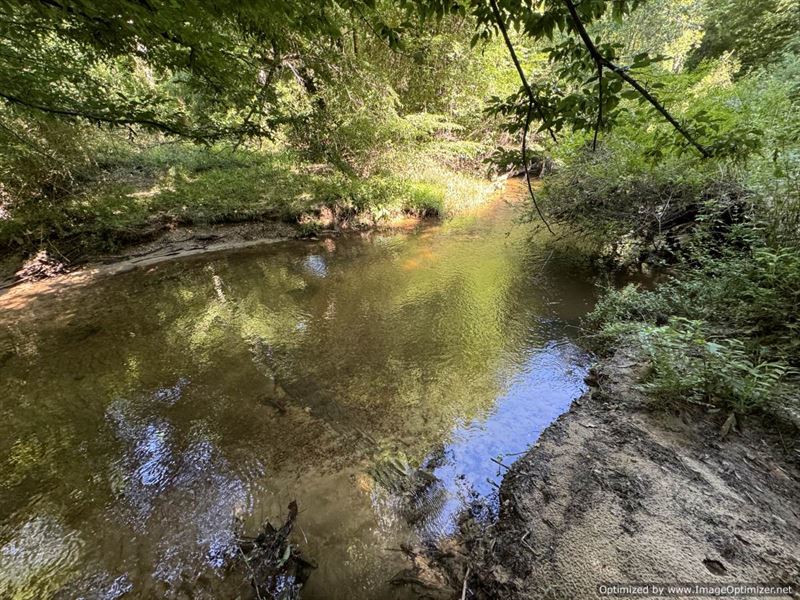 Beautiful Acreage, Live Creek : Brookhaven : Lincoln County : Mississippi