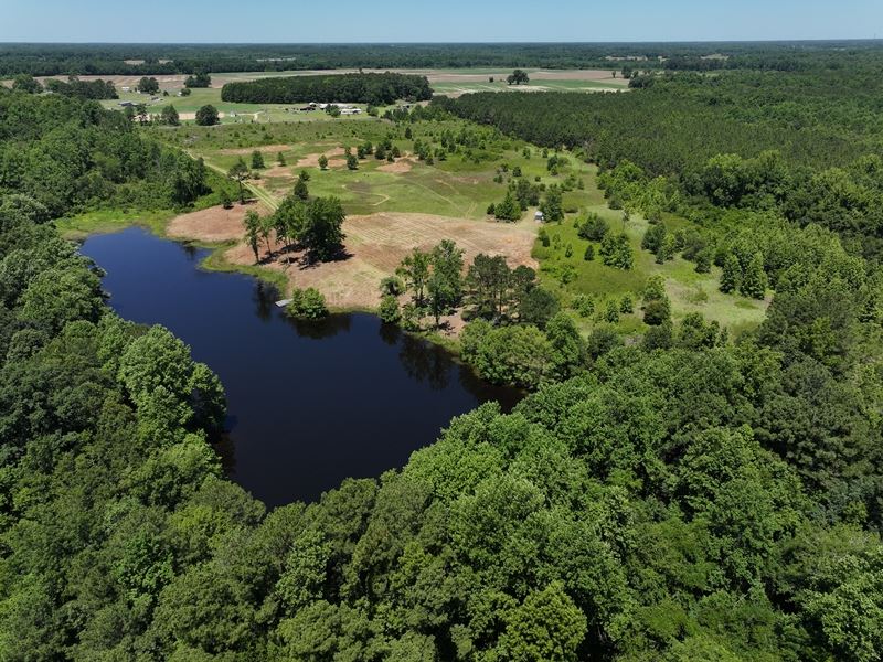 Potential Horse Farm & Residential : Rowland : Robeson County : North Carolina