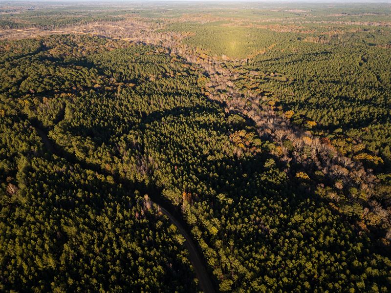 Rocky Hill Road 252 : Camden : Madison County : Mississippi