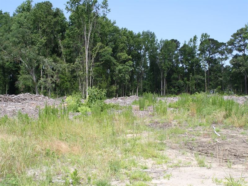 311.50 Acres in Lumberton, North Carolina : Lumberton : Robeson County : North Carolina