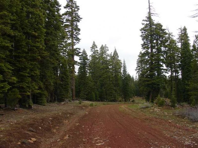 1 Acre in Modoc County, California : Alturas : Modoc County : California