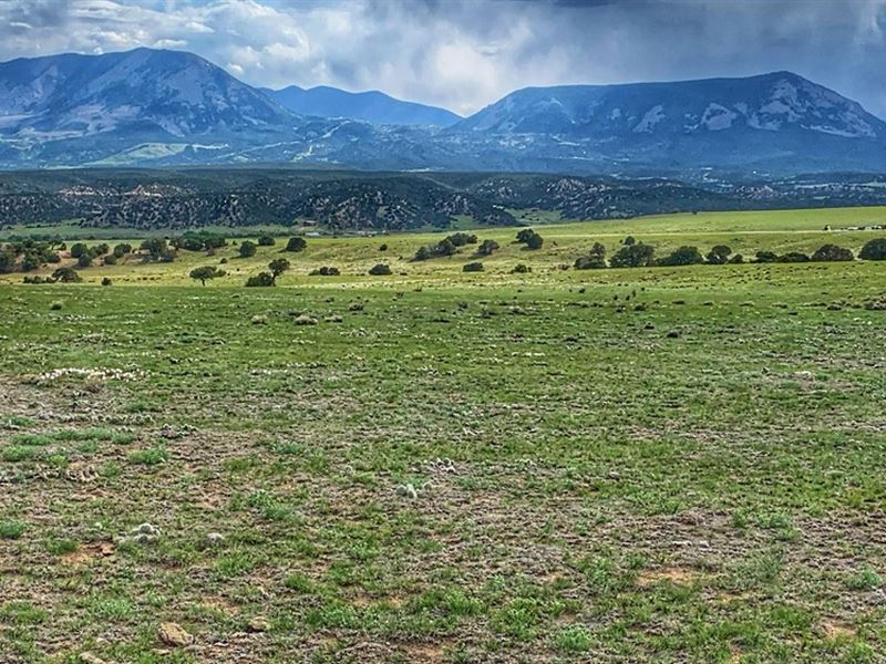 Lot 18 Cl&G, Gardner, Co 81040 : Gardner : Huerfano County : Colorado