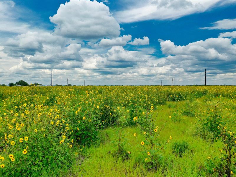 11.21 Acres, Road Access, Ready : D'hanis : Medina County : Texas