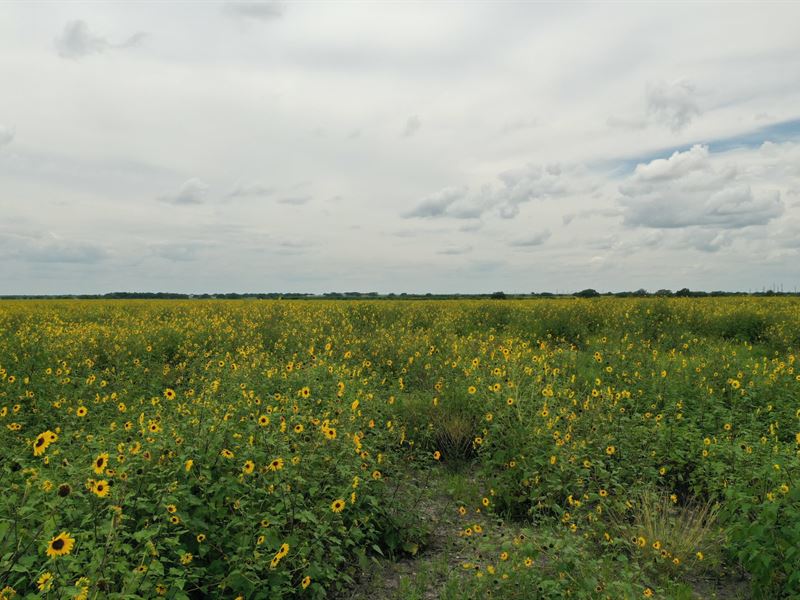 21.58 Acres Near San Antonio : D'hanis : Medina County : Texas