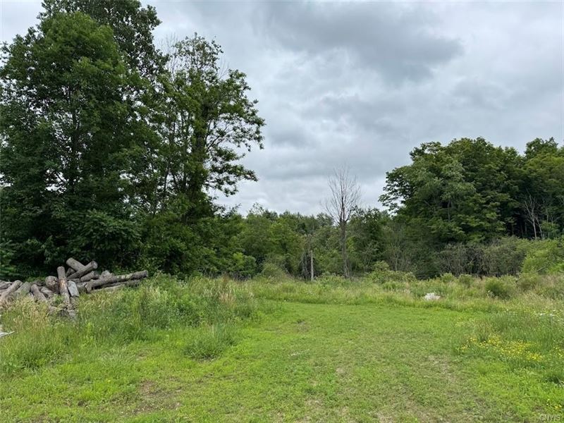 Large Acreage Creek Front Site : Oswego : Oswego County : New York