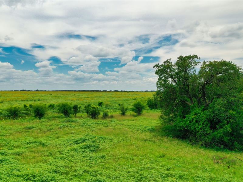 13.04 Acres, Road Access, Ready : D'hanis : Medina County : Texas