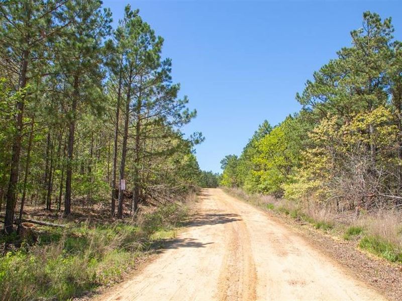 14.33 Acre in Pushmataha County, OK : Clayton : Pushmataha County : Oklahoma