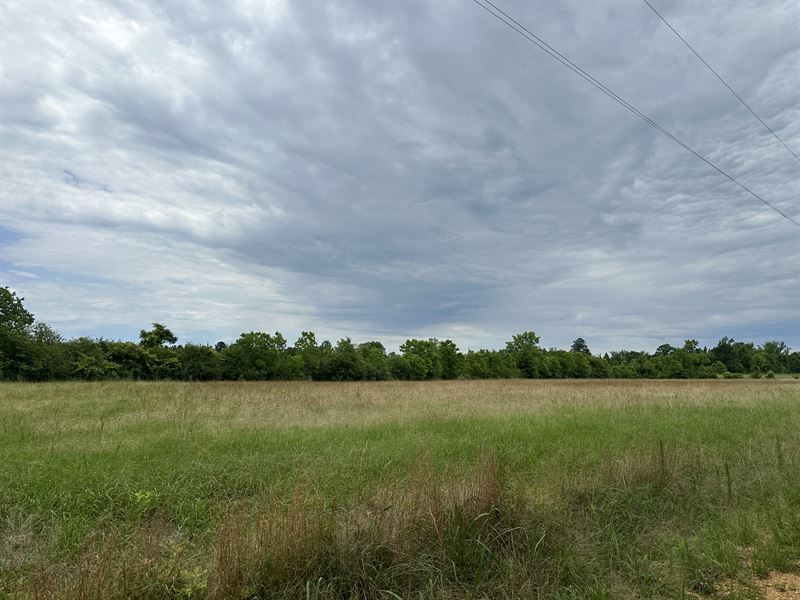 Lowery Road Lot : Georgiana : Butler County : Alabama