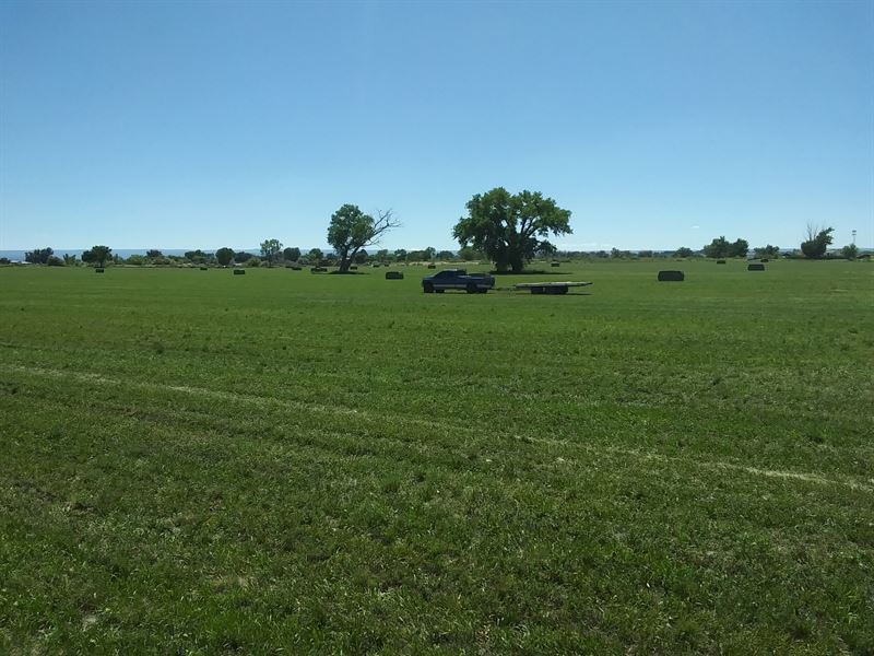 Chaparral Ranch : Montrose : Montrose County : Colorado