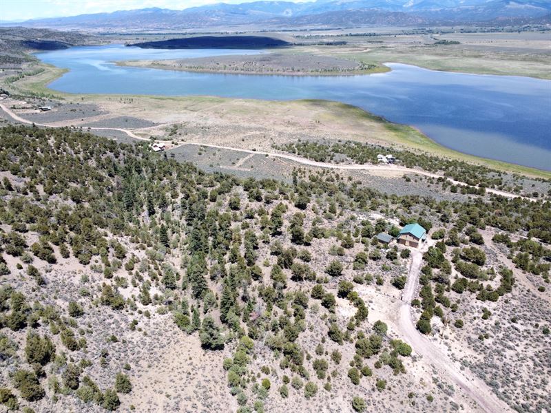 Reservoir View, Trees, Power, Water : San Luis : Costilla County : Colorado