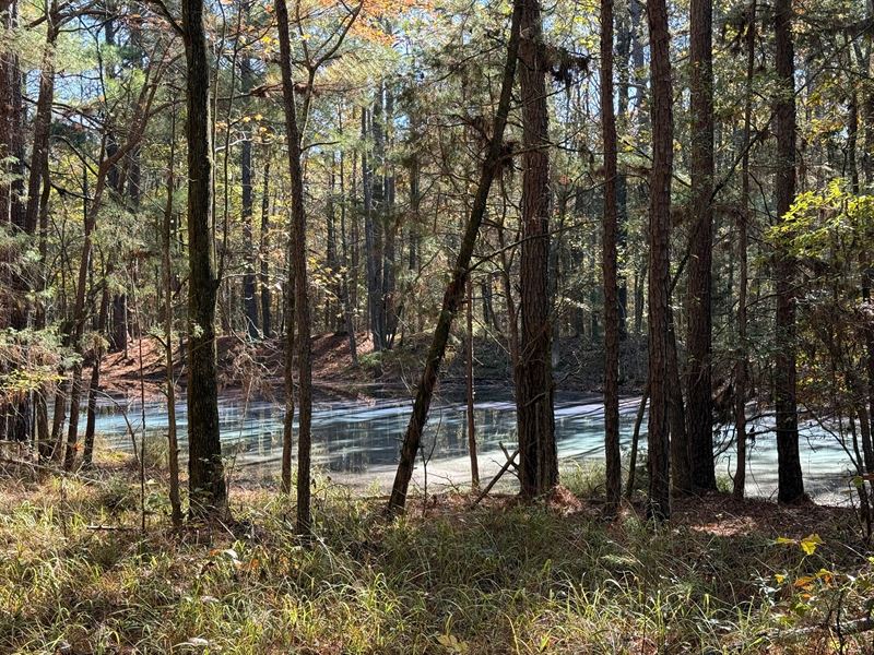 196 Acres in Sallis, MS in Attala : Sallis : Attala County : Mississippi