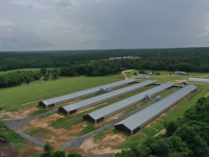 Samples Breeder Farm : Wagener : Aiken County : South Carolina