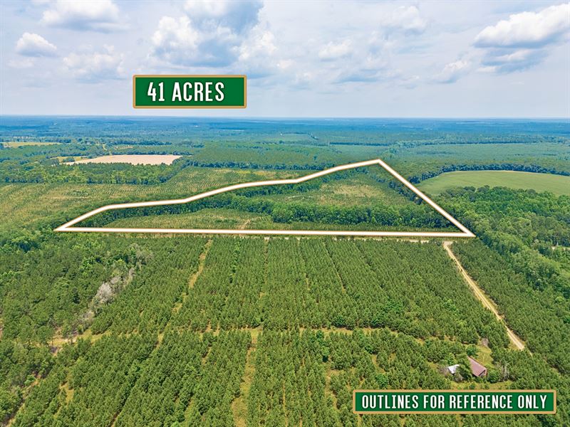 41 Acre Retreat with Thriving Pines : Lumber City : Telfair County : Georgia