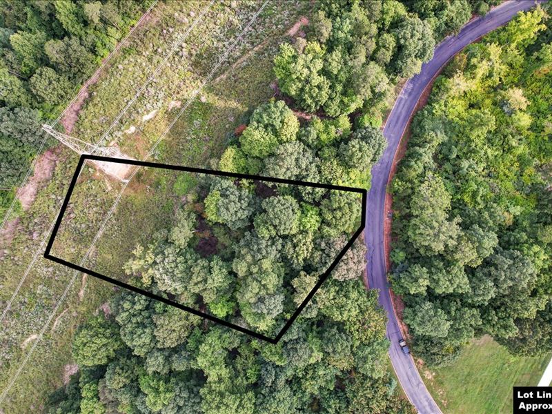 Prime 0.99 Acre Lot : Rutledge : Grainger County : Tennessee