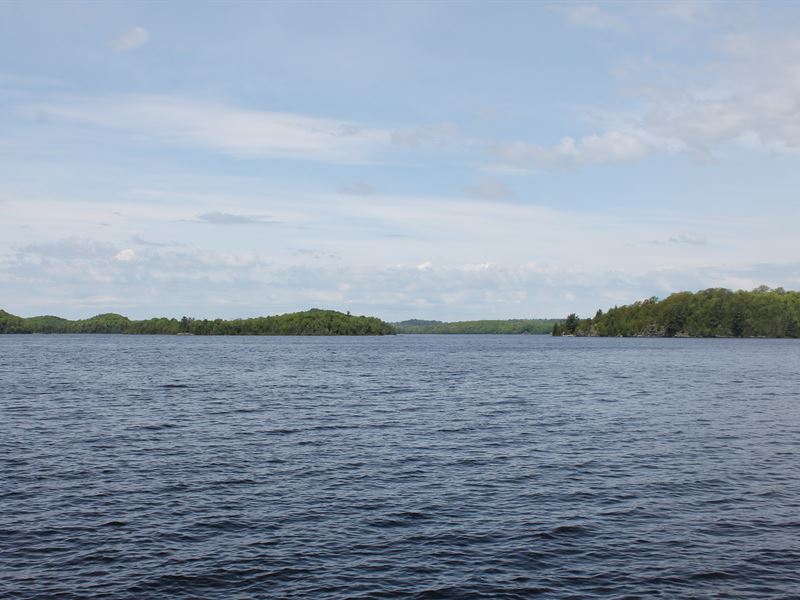 Lake Michigamme Lot : Champion : Baraga County : Michigan