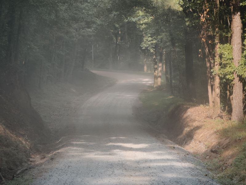 Recreational Hardwood Hunting Tract : Forsyth : Monroe County : Georgia