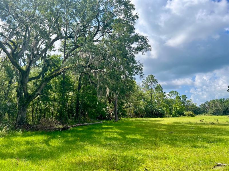 Woods Creek Acres : Perry : Taylor County : Florida