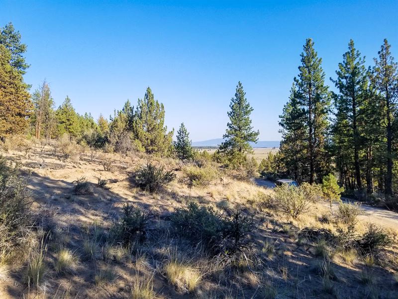 Suns Out, Guns Out : Chiloquin : Klamath County : Oregon