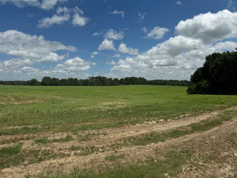 28 Acres in Laclede County Missouri : Lebanon : Laclede County : Missouri