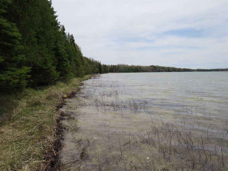 Beautiful North Manistique Lake : McMillan : Luce County : Michigan