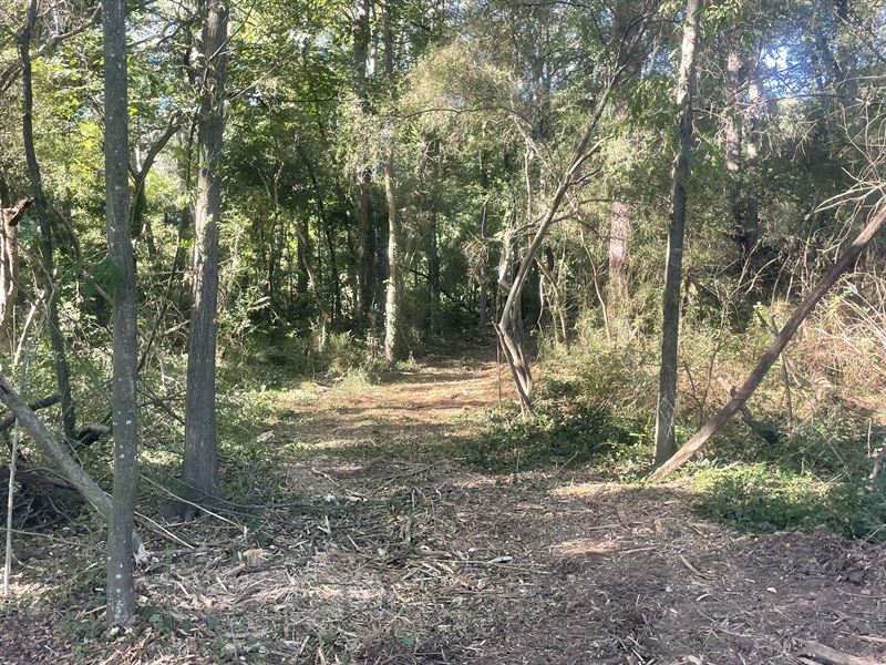 3 Acres Zoned C-1, College Park : College Park : Fulton County : Georgia